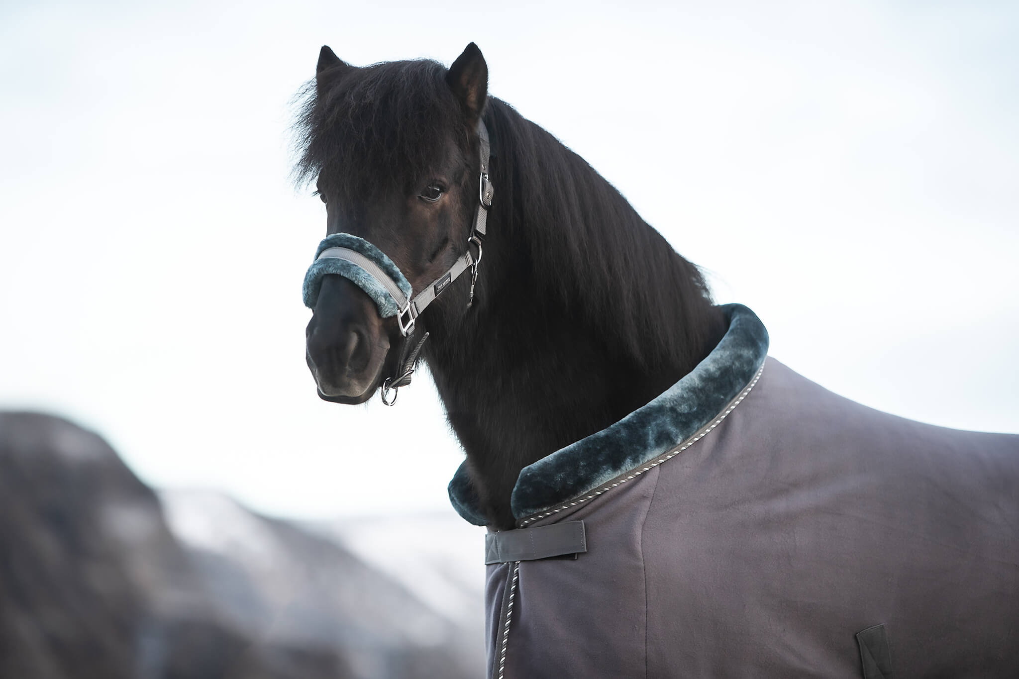 Top Reiter Fleecetäcke "SOFT LINE", grå/grön, 125cm - 2
