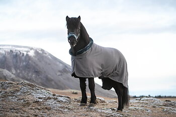 Top Reiter Fleecetäcke "SOFT LINE", grå/grön, 125cm