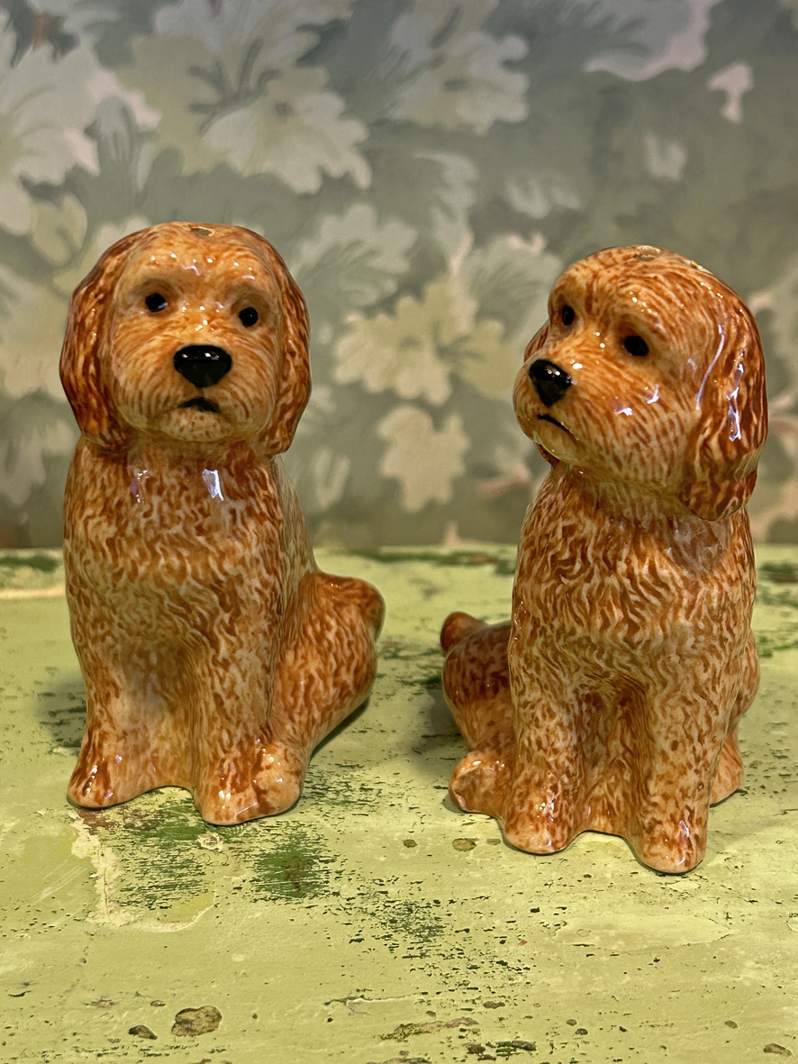 Salt & peppar cockapoo