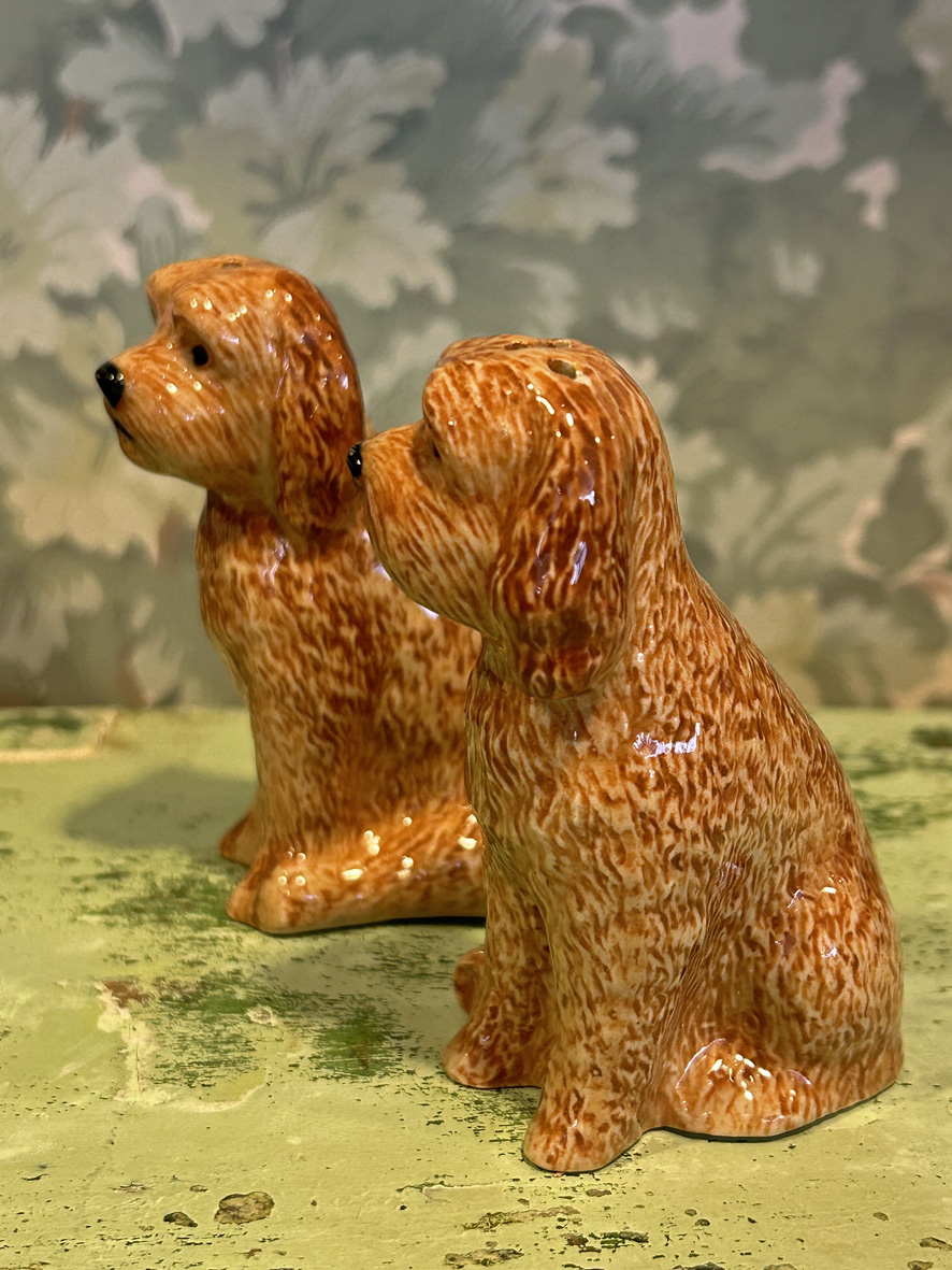 Salt & peppar cockapoo - 2