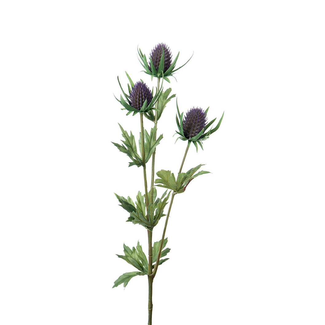 Ohdake Mr Plant - 2