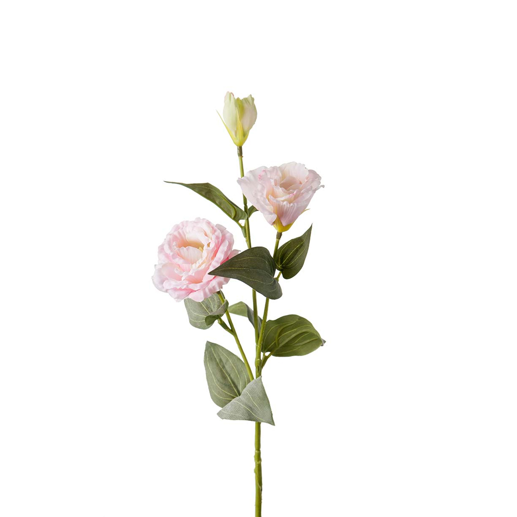 Preerian kello Mr Plant - 2