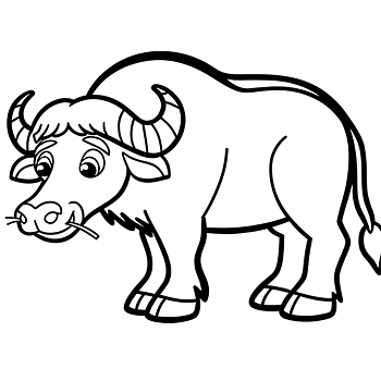Buffel