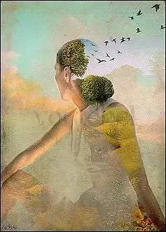 Catrin Welz-Stein : Summerdream 2012 - vykort
