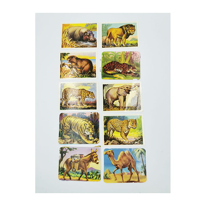 Bookmarks Second Hand - Wild Animals Vintage