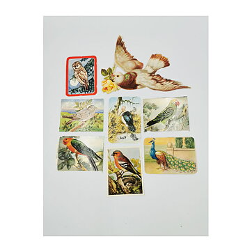 Bookmarks Second Hand - Birds Vintage