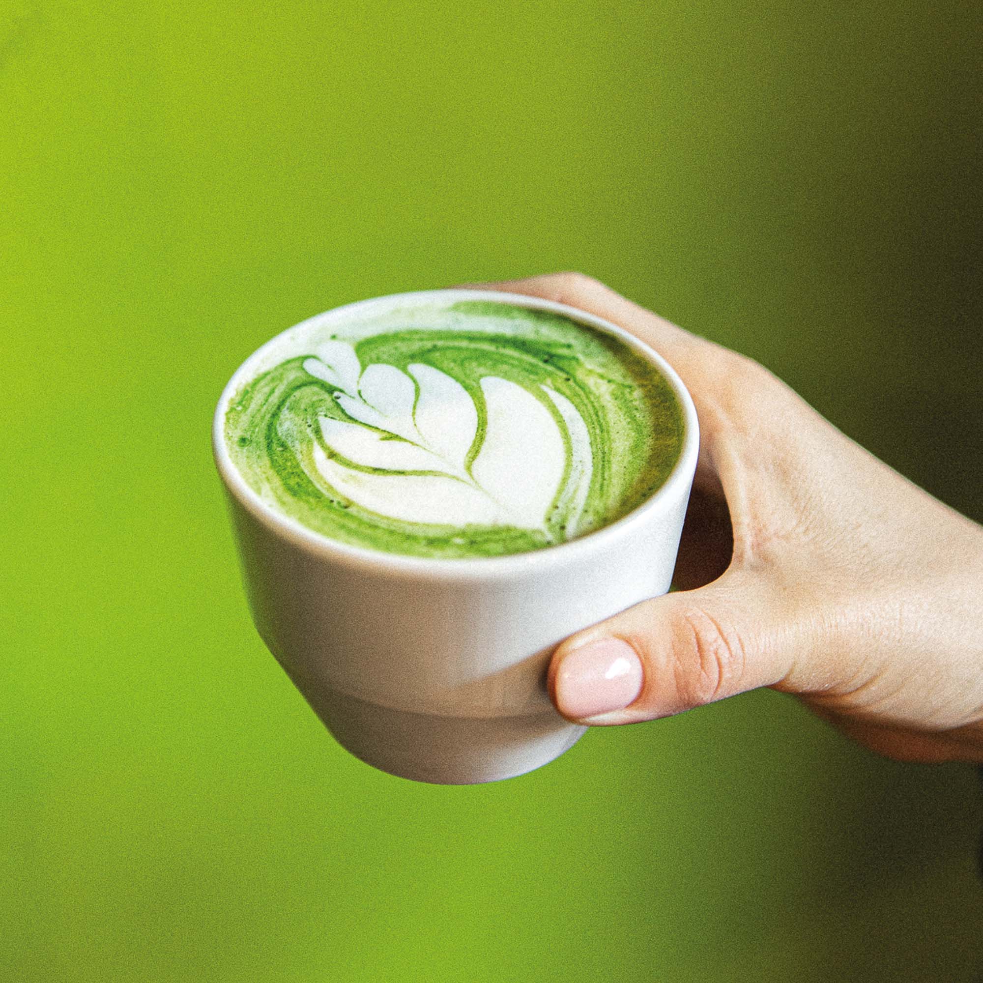Dear Tea Society - Modest Matcha Ekologisk - 5