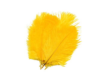 Mikael Frödin Ostrich Hackles