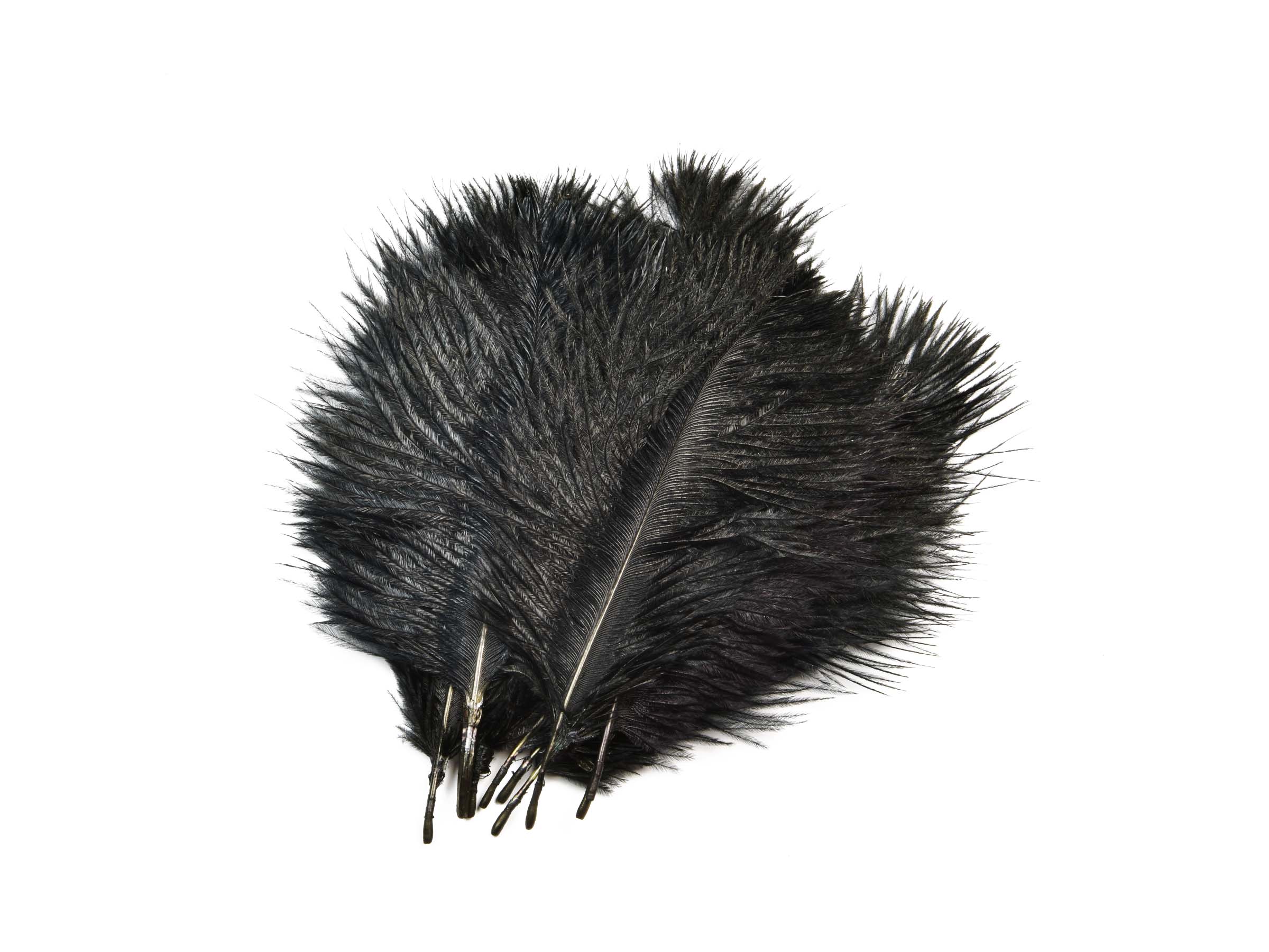 Mikael Frödin Ostrich Hackles - 7