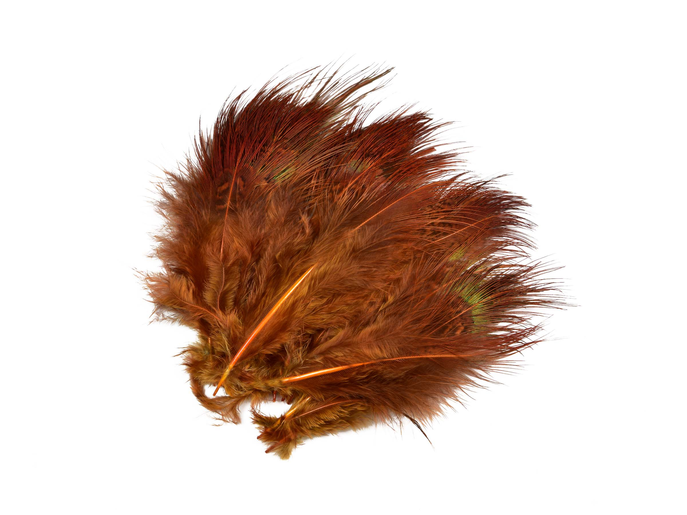 Mikael Frödin Pheasant Rump Feathers - 9