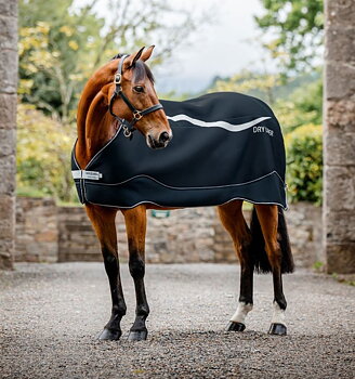Horseware Dry Liner (50g Light) - Sininen/Hopea
