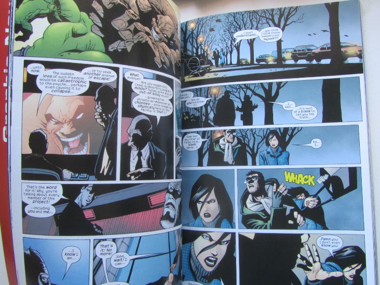 Incredible Hulk Vol. 5 : Hide in Plain Sight - 4