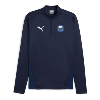 Puma Teamgoal Training 1/4 Zip Top Jr Jersey (Markaryd IF)