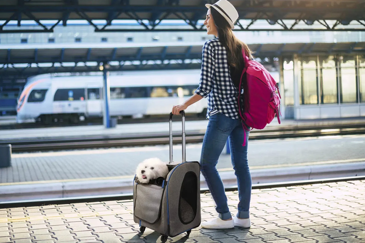Liso Backpack Parallel Transport Pet Trolley -Slate/Sapphire - 4