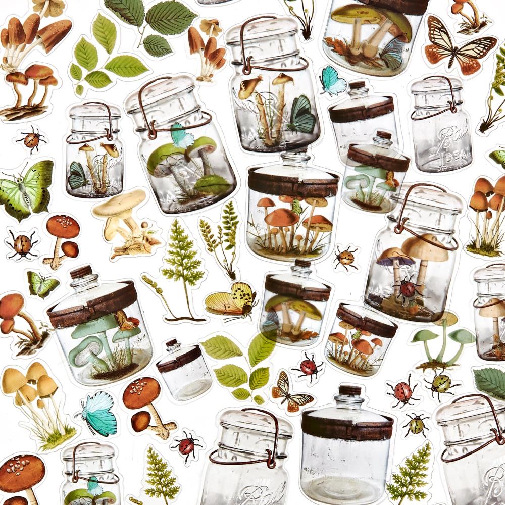 49 And Market - Nature Study - Acetate Shapes - Specimen - 3