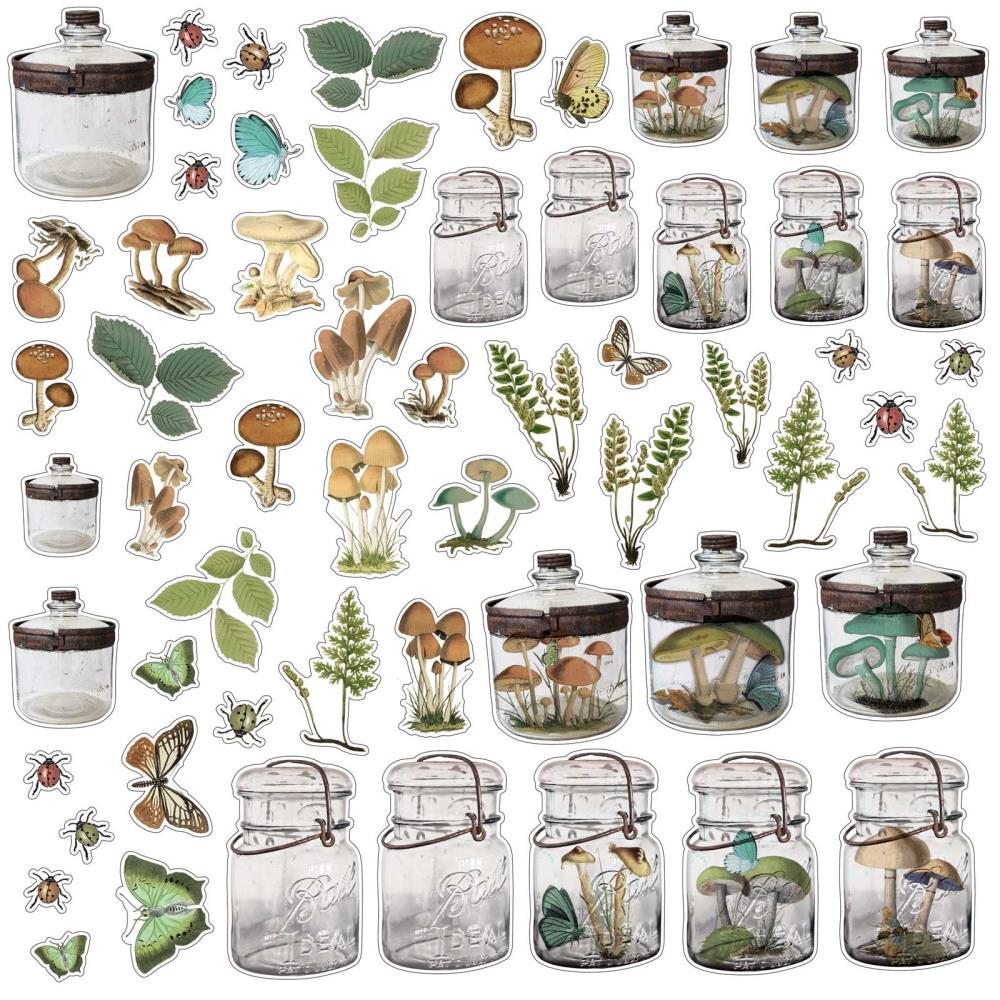 49 And Market - Nature Study - Acetate Shapes - Specimen - 2