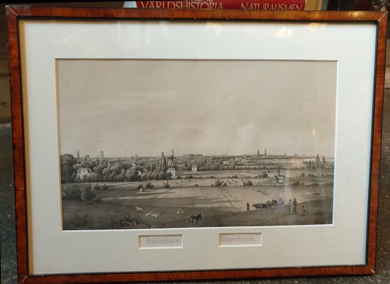 Copenhagen lithograph 19th century