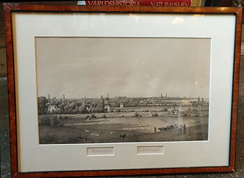 Copenhagen lithograph 19th century