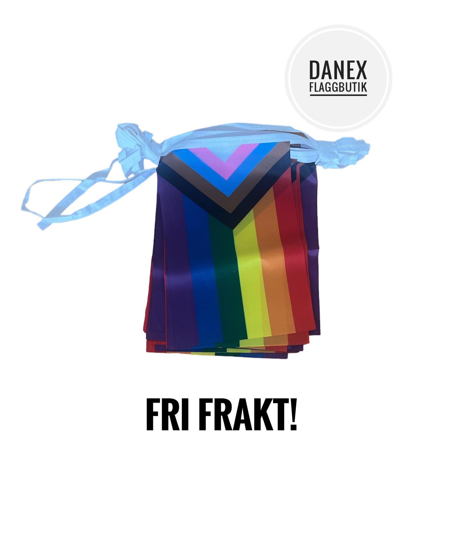 Flaggspel - 20st Progress pride flaggor i tyg 