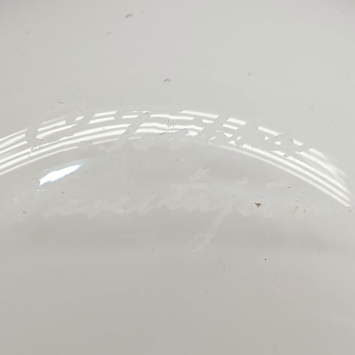 Oiva Toikka (1990) Pigeon (Kyyhky) Glass Bird 19 cm (2)