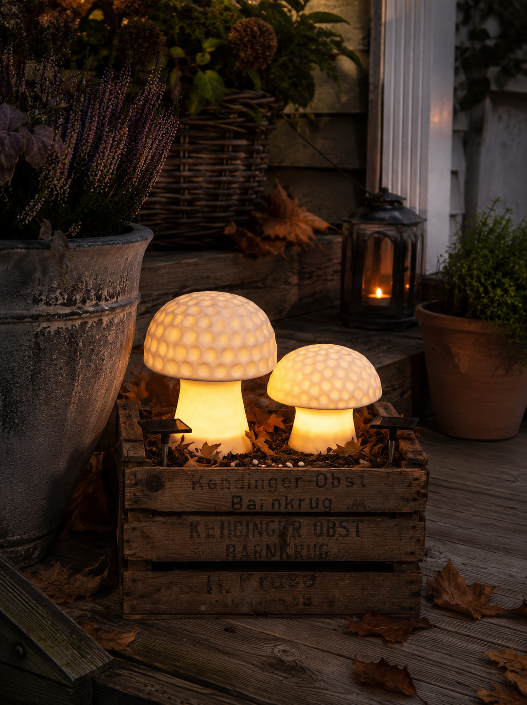 Solar decoration - Solar lighting - Mushroom - 19x15.7x19 cm - 12