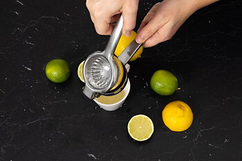 Citruspress, rostfritt stål 22 cm