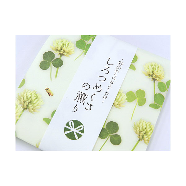 Country Hills 38622 WHITE CLOVER - 3