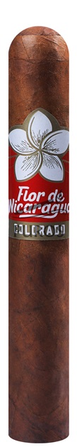 Joya Flor De Nicaragua Toro