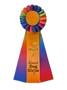 6213 - Rosette für Pferd, Hund, Veranstaltung, 30 cm