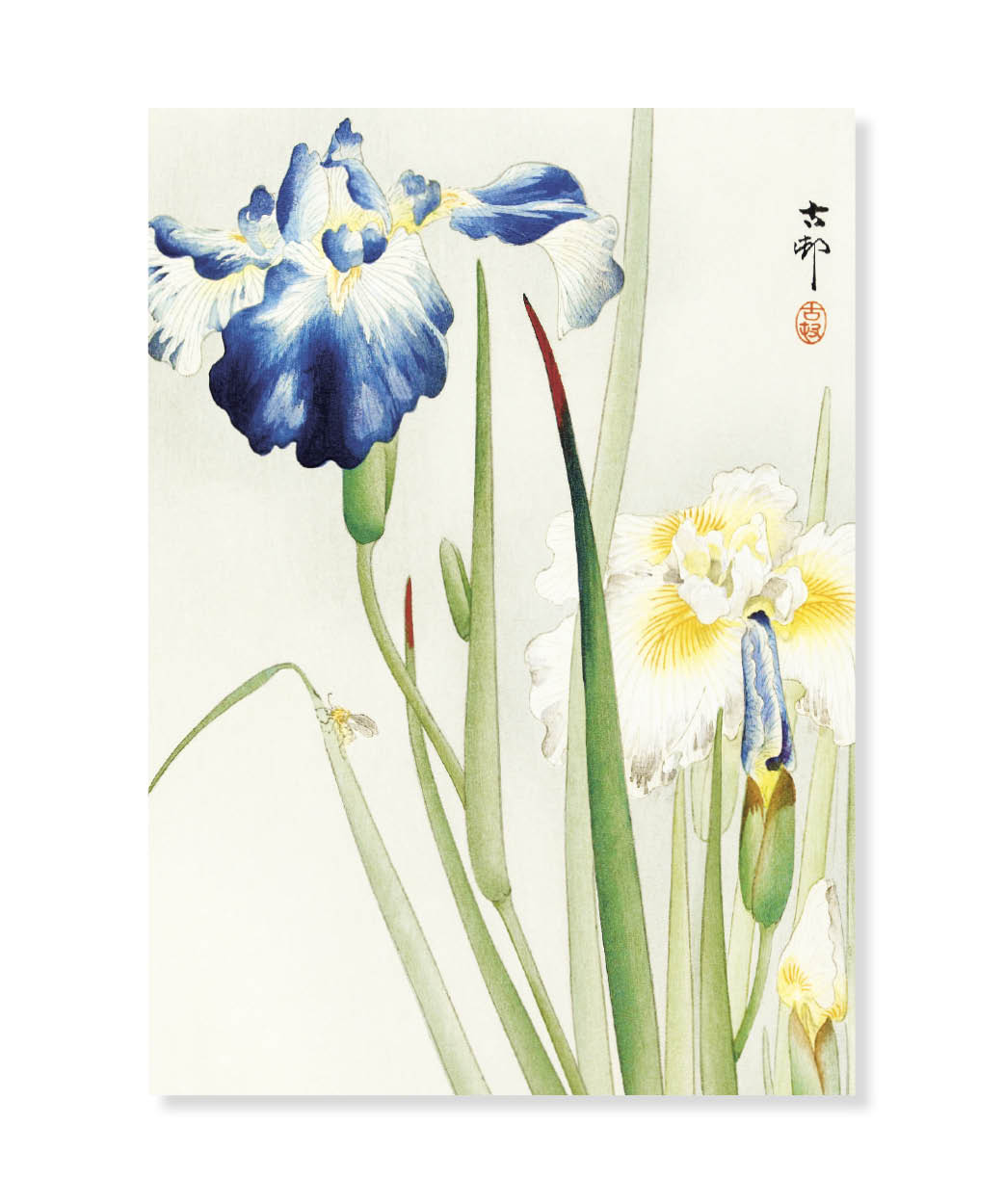 Irisis, Ohara Koson, Postcard