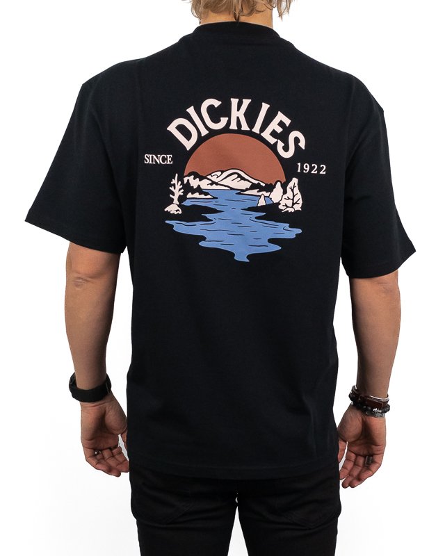 Dickies t shirt warehouse outlet