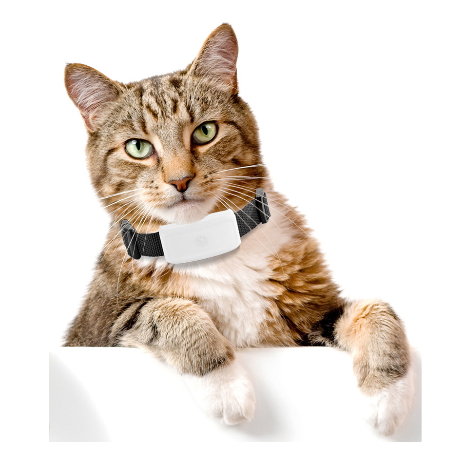 Pro 4G GPS Tracker for dogs and cats - 3