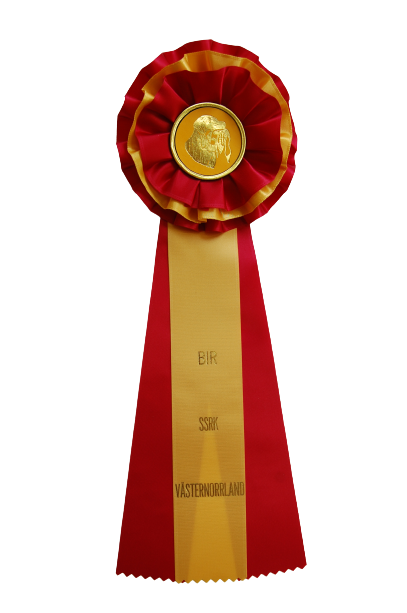 6258 - Rosette für Pferd, Hund, Veranstaltung, 38 cm - 3
