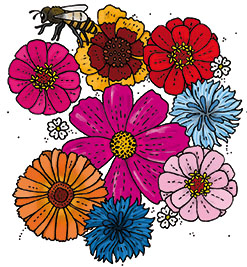 Fröbanken Blomstermix - Snittblommor