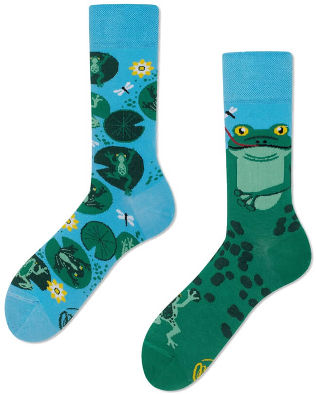 Many Mornings Froggy Frogg