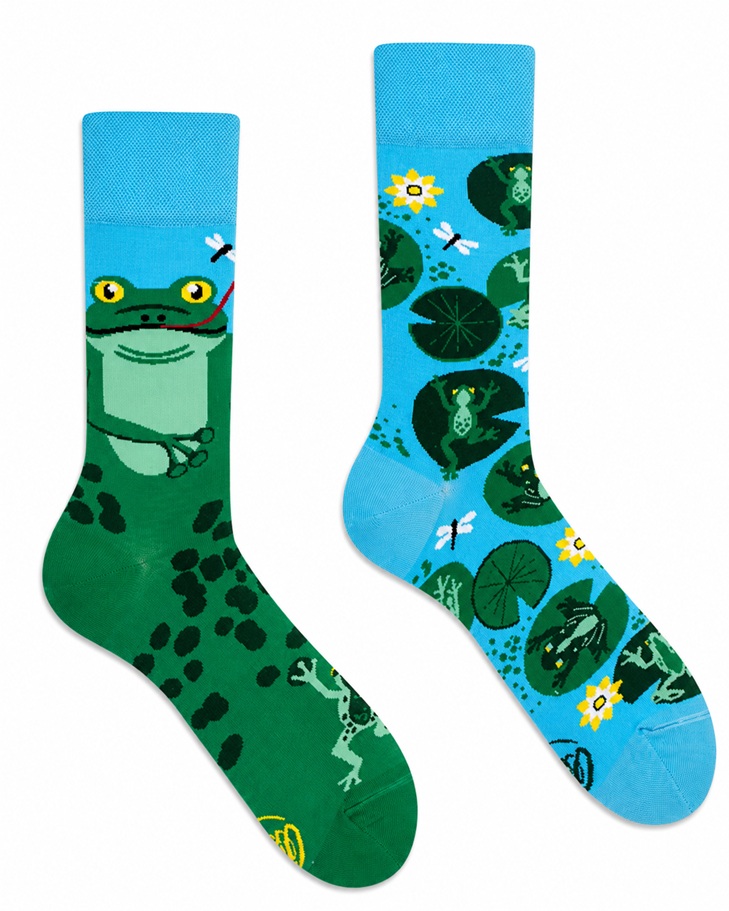  Many Mornings Froggy Frogg