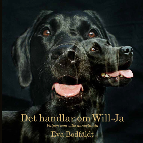 Det handlar om Will-Ja