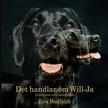 Det handlar om Will-Ja