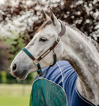 HORSEWARE SIGNATURE BRAIDED HEADCOLLAR