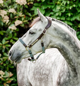 HORSEWARE SIGNATURE BRAIDED HEADCOLLAR