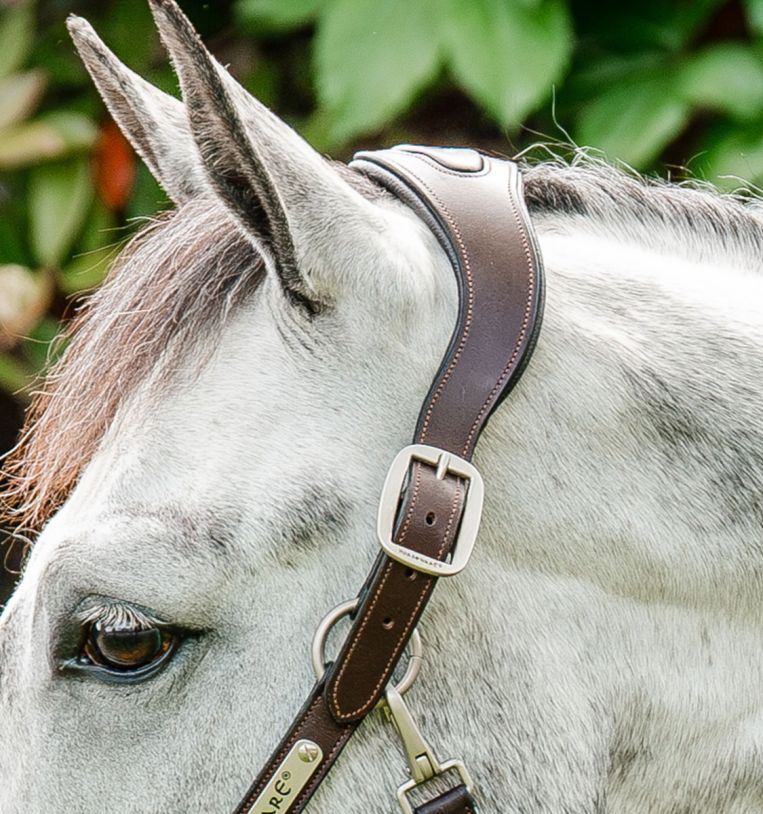 HORSEWARE SIGNATURE BRAIDED HEADCOLLAR - 4