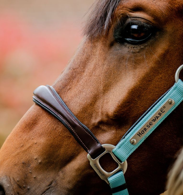 HORSEWARE SIGNATURE COMPETITION HEADCOLLAR - 4