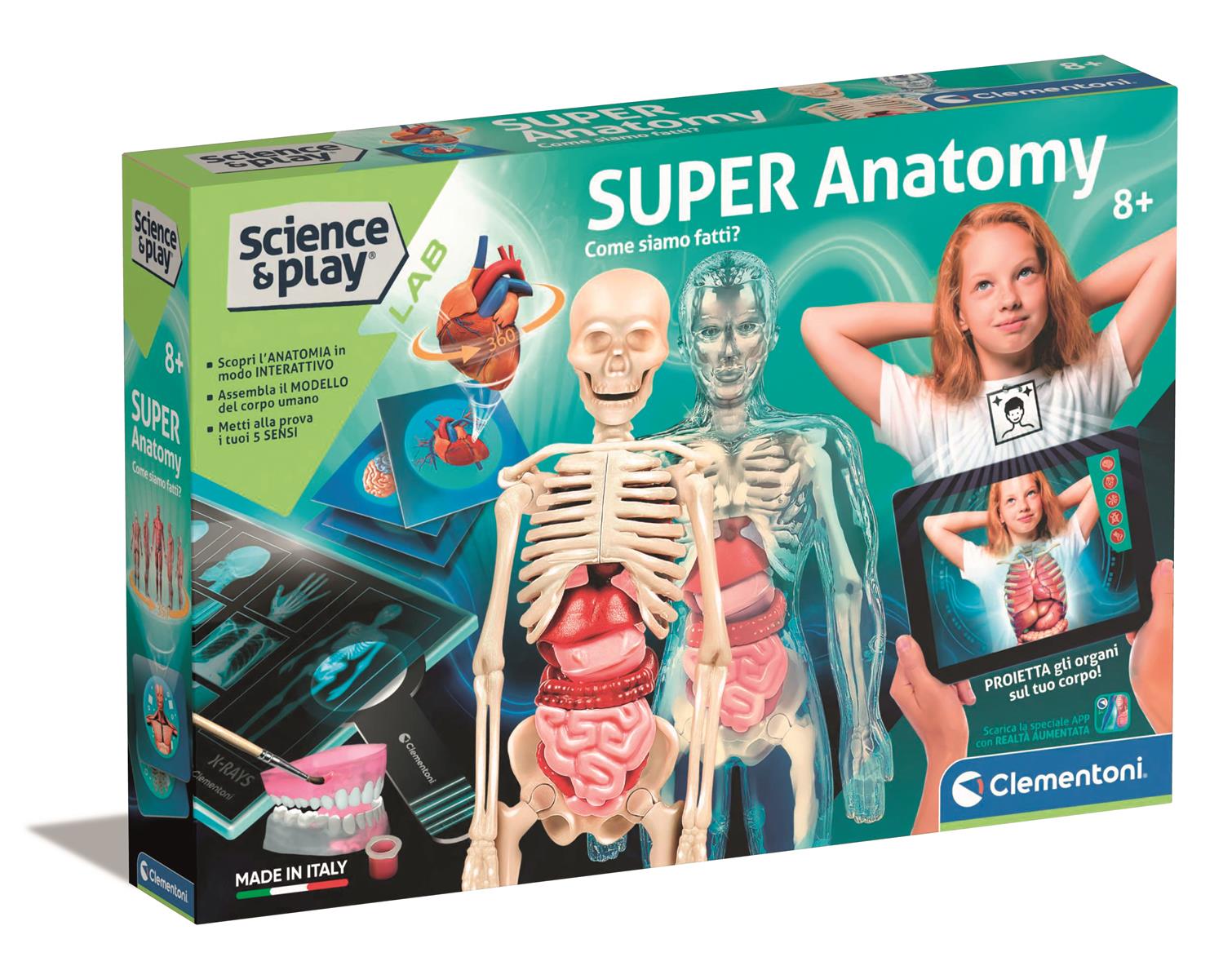 Super Anatomy (Nordic)
