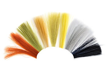 Tail Fibres Fibbets