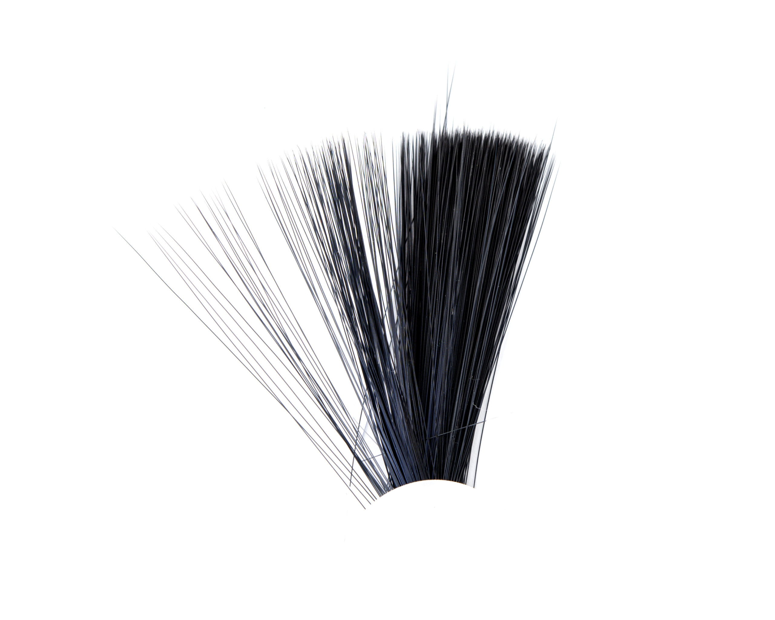 Tail Fibres Fibbets - 4