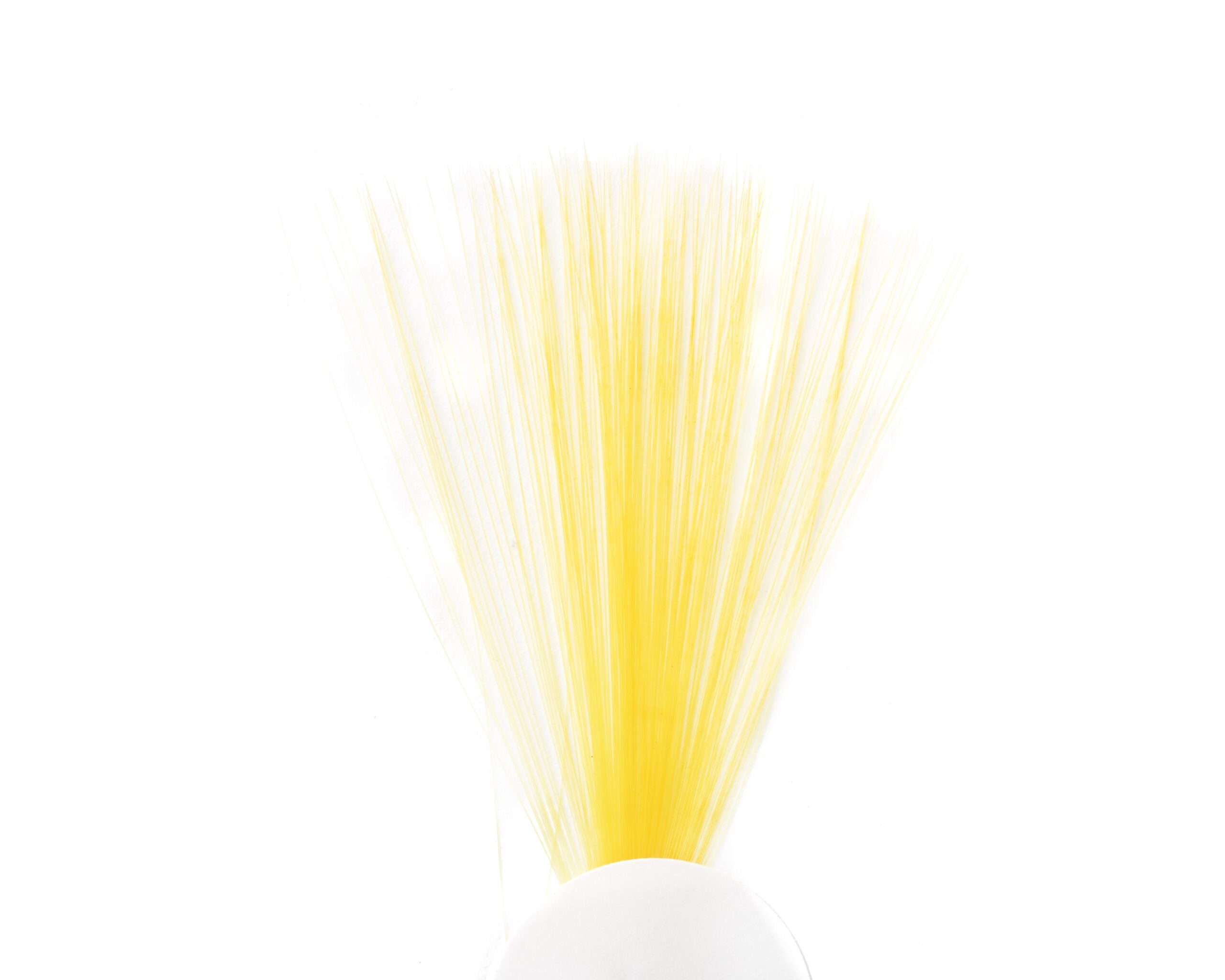 Tail Fibres Fibbets - 2