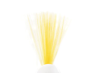 Tail Fibres Fibbets