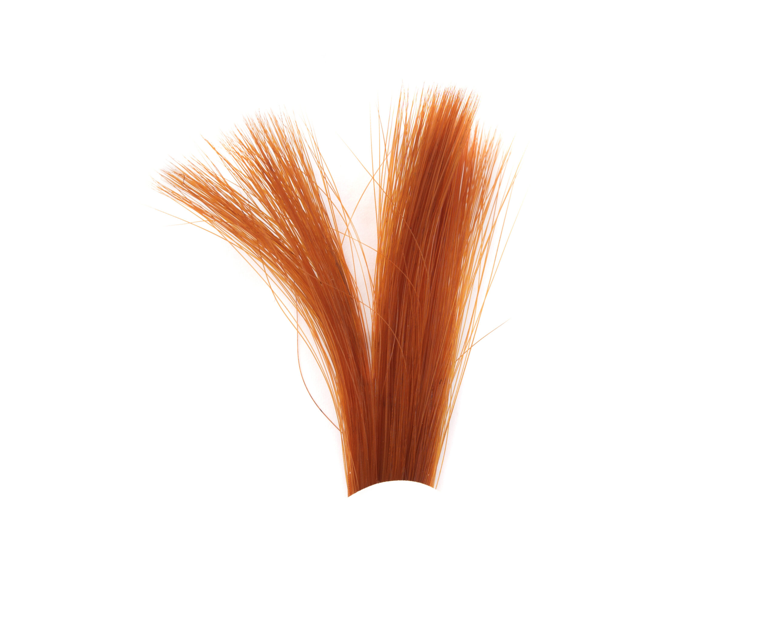 Tail Fibres Fibbets - 6