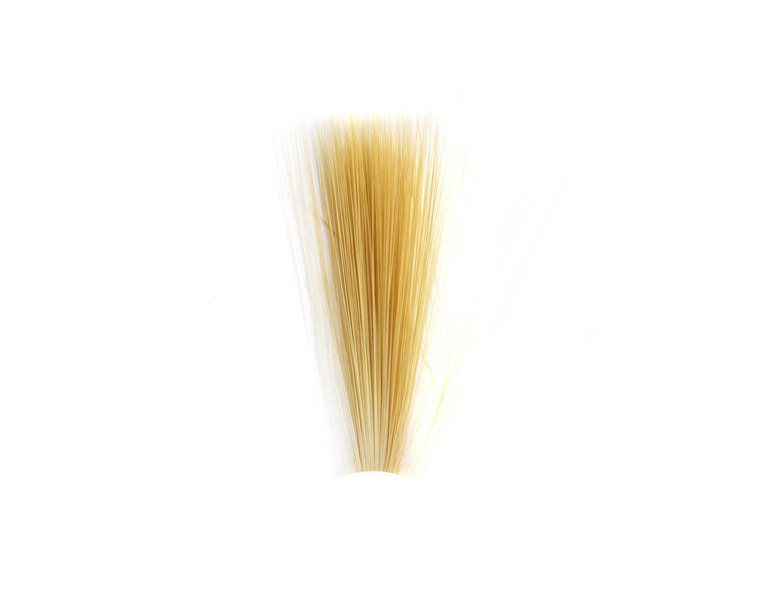 Tail Fibres Fibbets - 5