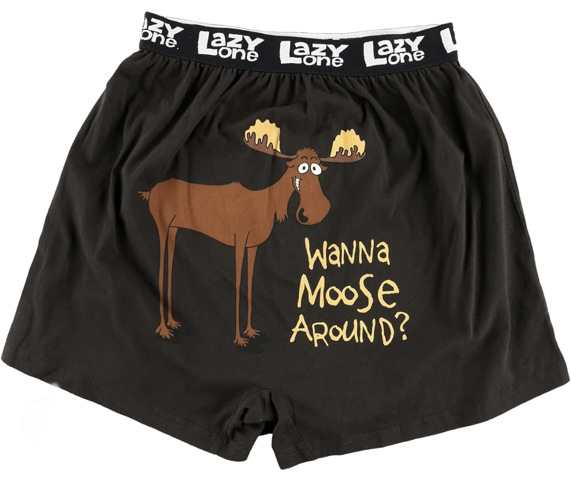 Lazy One - Boxer Wanna Moose Around